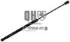 JP GROUP 4381201909 Gas Spring, boot-/cargo area